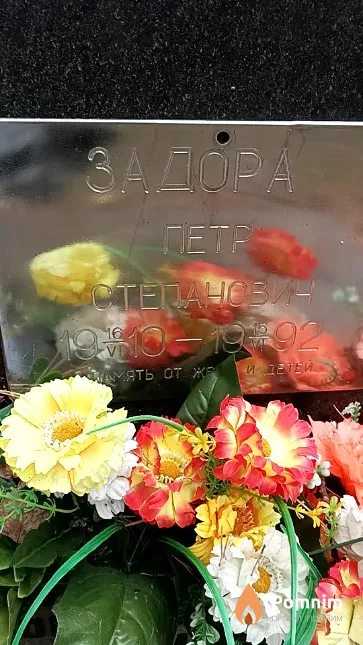 Задора Петр Степанович