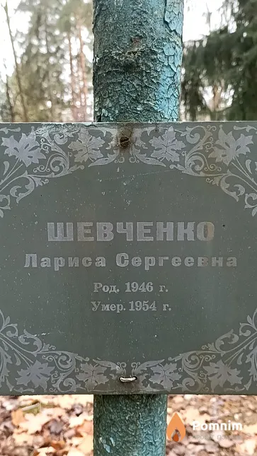 Шевченко Лариса Сергеевна