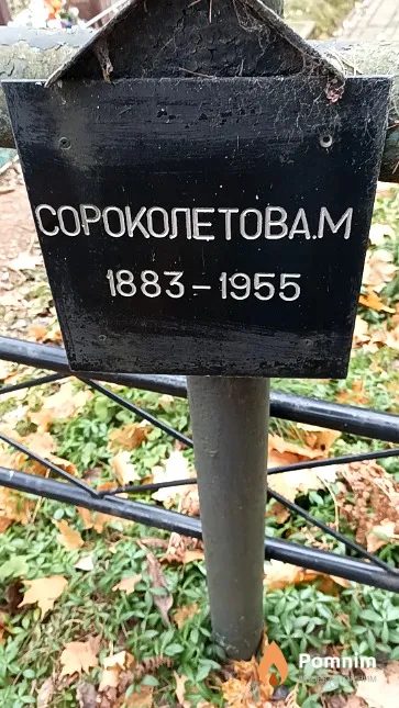 Сороколетов А. М.