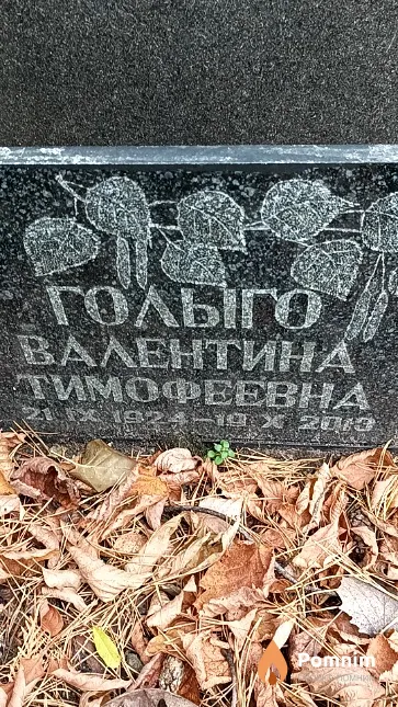 Голыго Валентина Тимофеевна