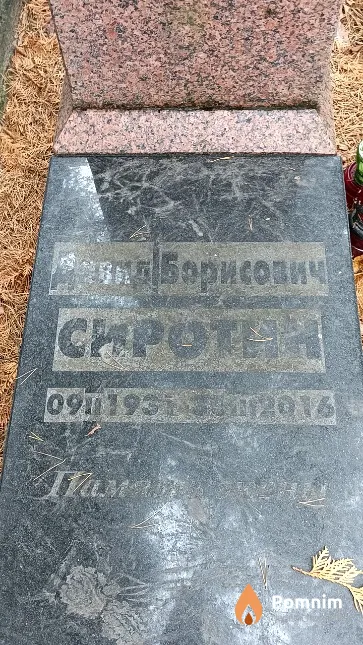 Сиротин Давид Борисович