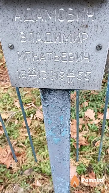 Адамович Владимир Игнатьевич
