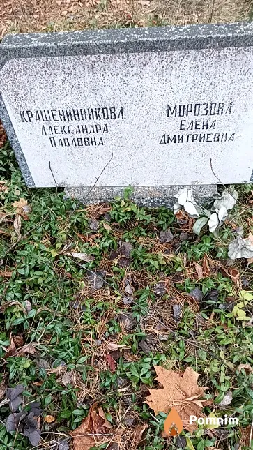 Крашенинникова Александра Павловна