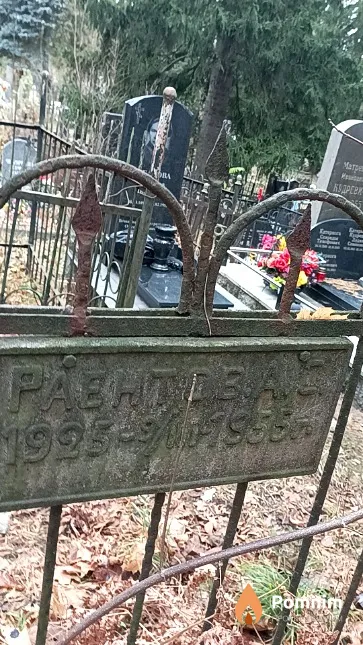 Раентов Александр Савельевич