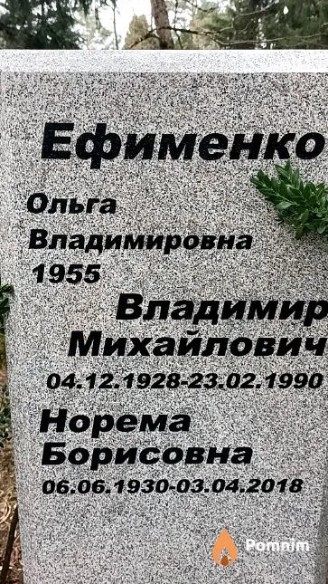 Ефименко Ольга Владимировна