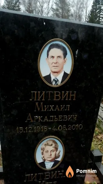 Литвин Михаил Аркадьевич
