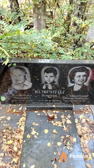 Кобрин Вовочка