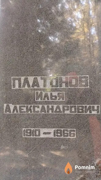 Платонов Илья Александрович