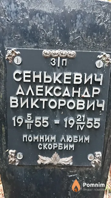 Сенькевич Александр Викторович
