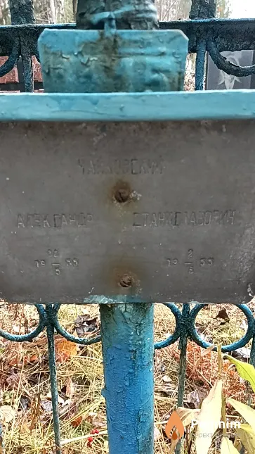 Чайковский Александр Станиславович