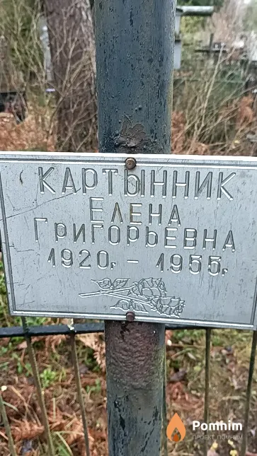 Картынник Елена Григорьевна