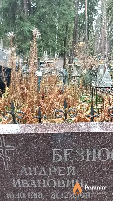 Безносенко Андрей Иванович