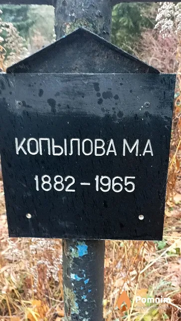 Копылова М. А.