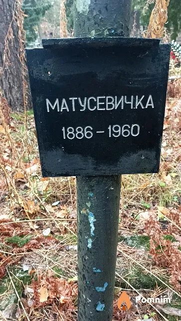 Матусевич К. А.