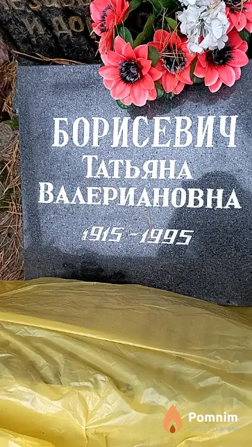 Борисевич Татьяна Валериановна