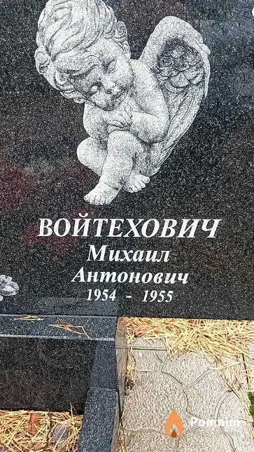 Войтехович Михаил Антонович