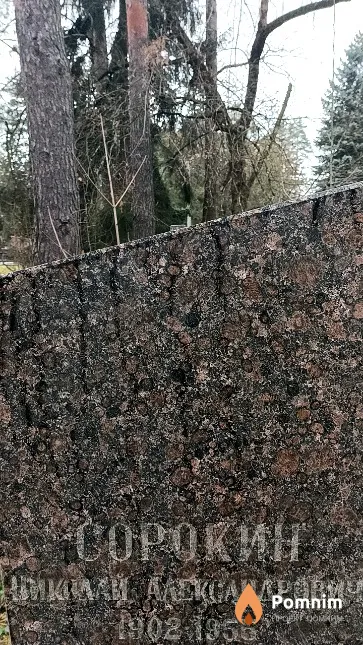 Сорокин Николай Александрович