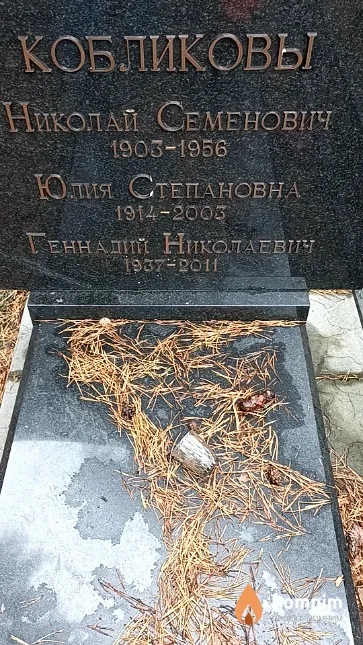 Кобликов Николай Семенович