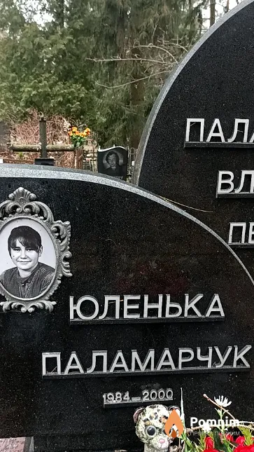 Паламарчук Юлия