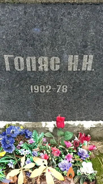 Голяс Николай Николаевич