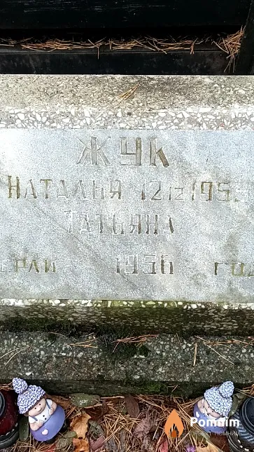 Жук Наталья Анатольевна