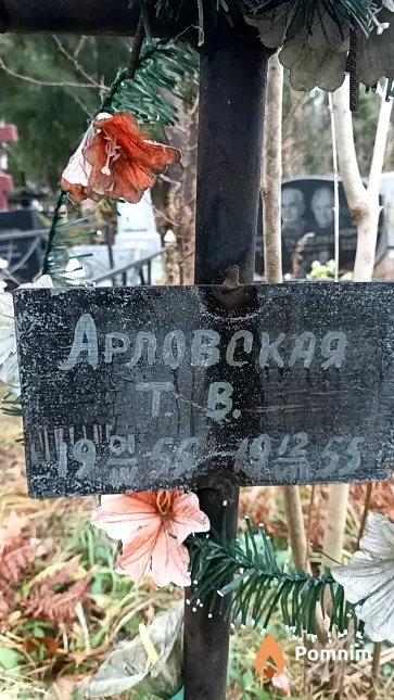 Орловская Татьяна Викторовна