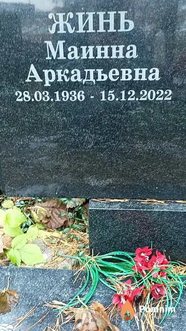 Жинь Маинна Аркадьевна