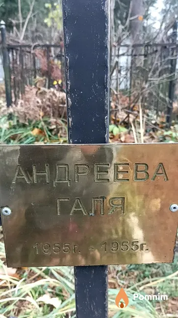 Андреева Галина Георгиевна