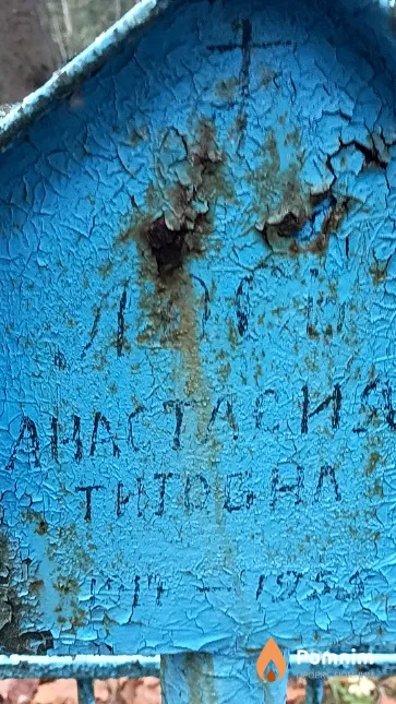 Лось Анастасия Титовна