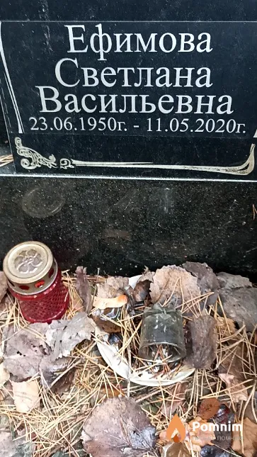 Ефимова Светлана Васильевна