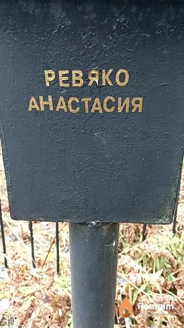 Ревяко Анастасия Федоровна