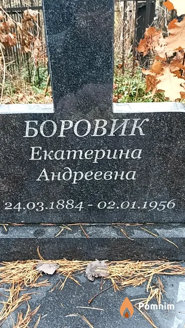 Боровик Екатерина Андреевна