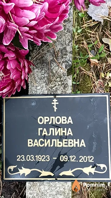Орлова Галина Васильевна