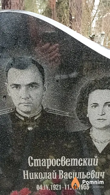 Старосветский Николай Васильевич