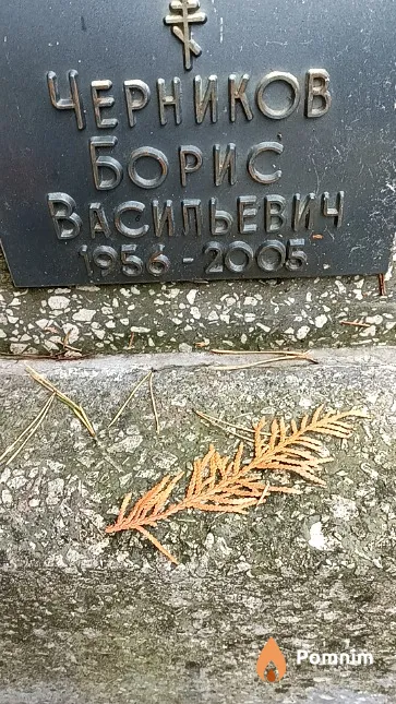 Черников Борис Васильевич