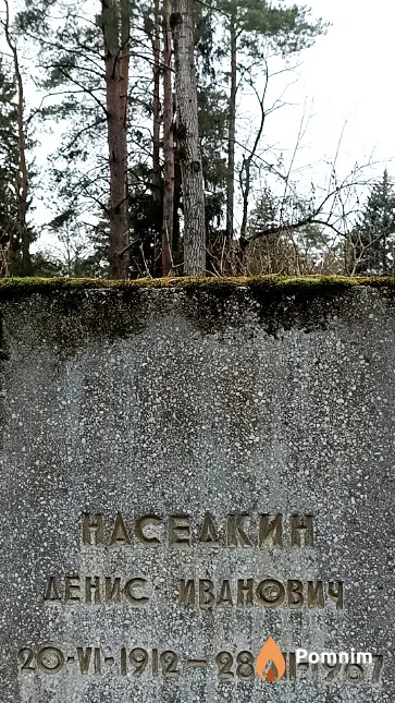 Наседкин Денис Иванович