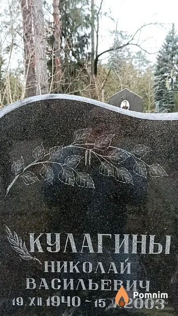Кулагин Николай Васильевич