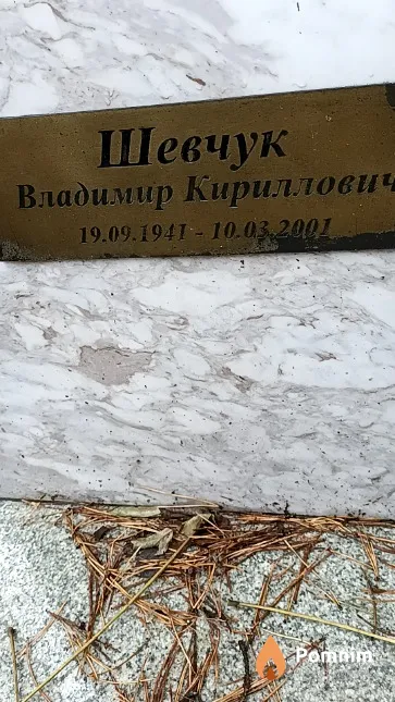 Шевчук Владимир Кириллович