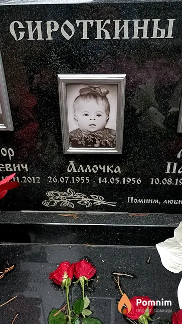 Сироткина Алла