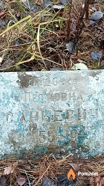Санкевич Людмила Петровна
