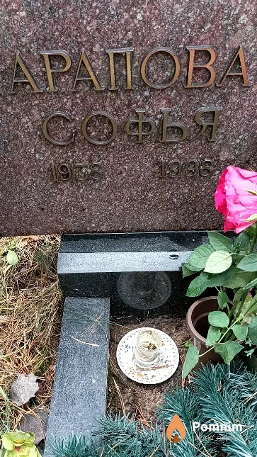 Арапова Софья