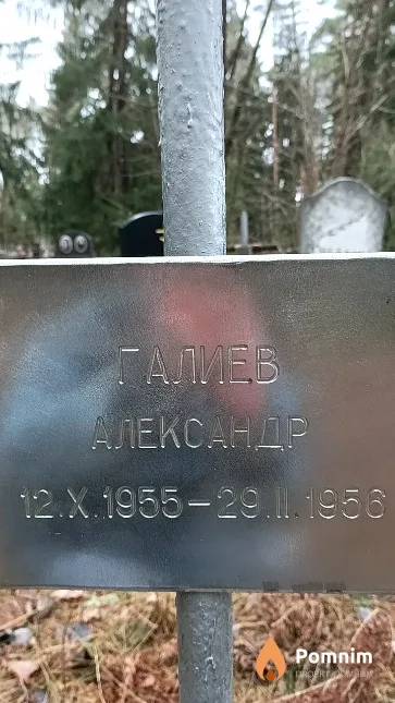Галиев Александр