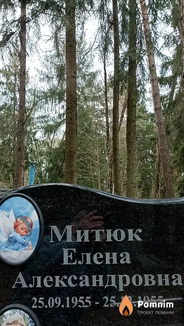 Митюк Елена Александровна