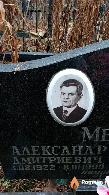 Метельский Александр Дмитриевич