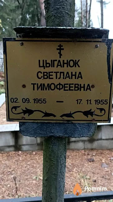 Цыганок Светлана Тимофеевна