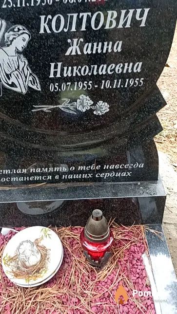 Колтович Жанна Николаевна