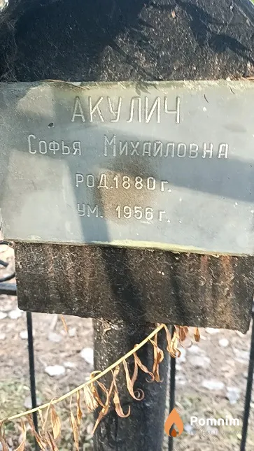 Акулич Софья Михайловна
