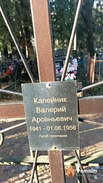 Калейник Валерий Арсеньевич