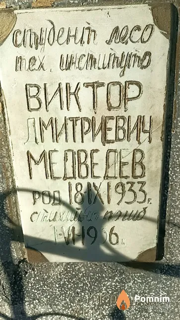 Медведев Виктор Дмитриевич