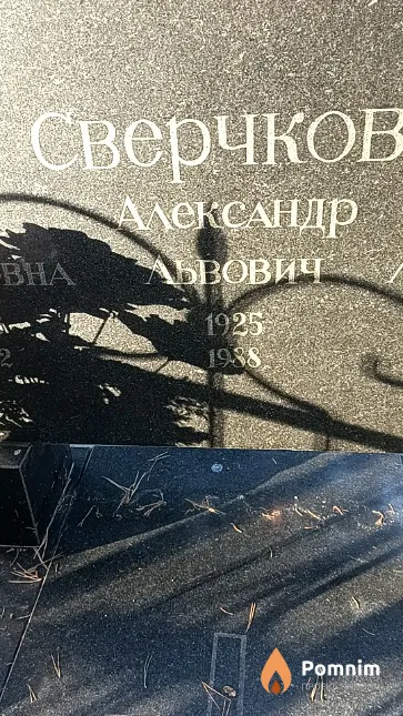 Сверчков Александр Львович